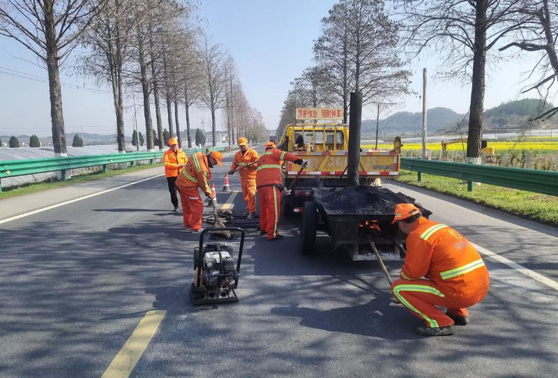 精心养护“赏花路” 助力“颜值”变“产值”