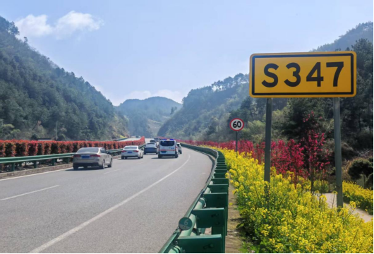 一路繁花一路歌 ：“徽路骆驼”的春天故事