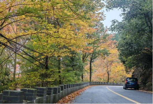 美丽公路入秋色